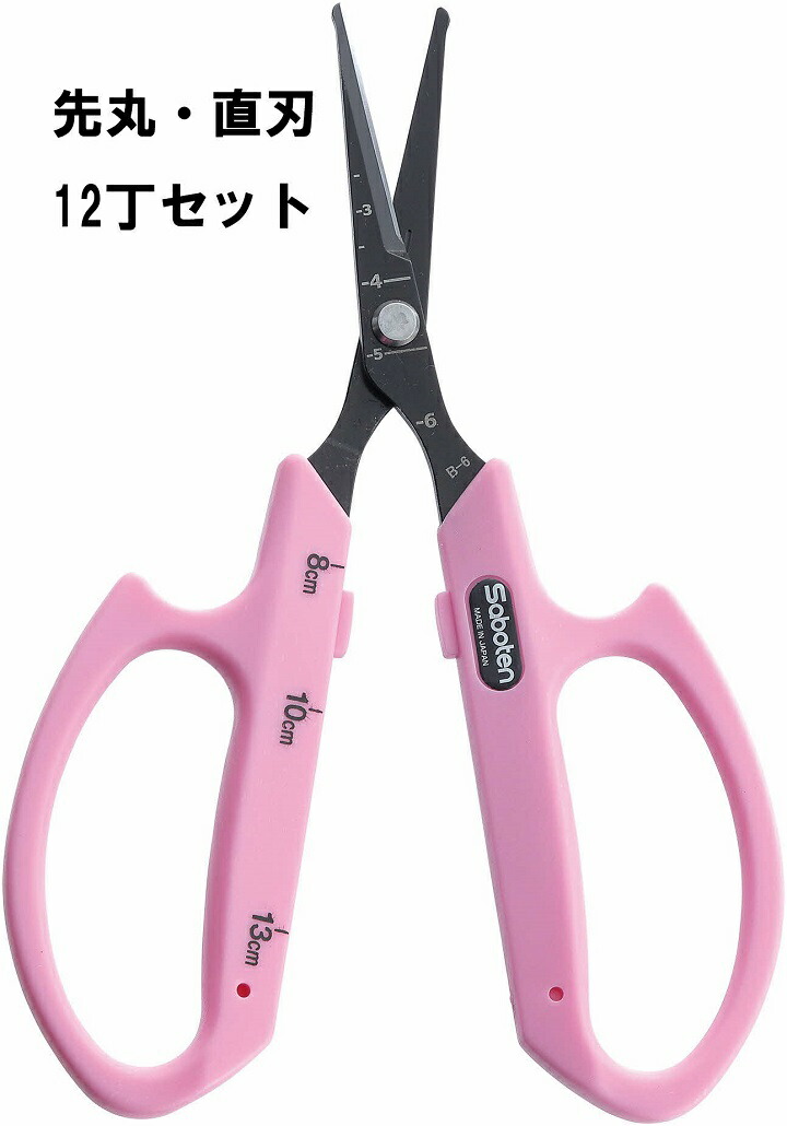 【ふるさと納税】ぶどうお取りつくろう鋏先丸直刃12丁仕掛ける