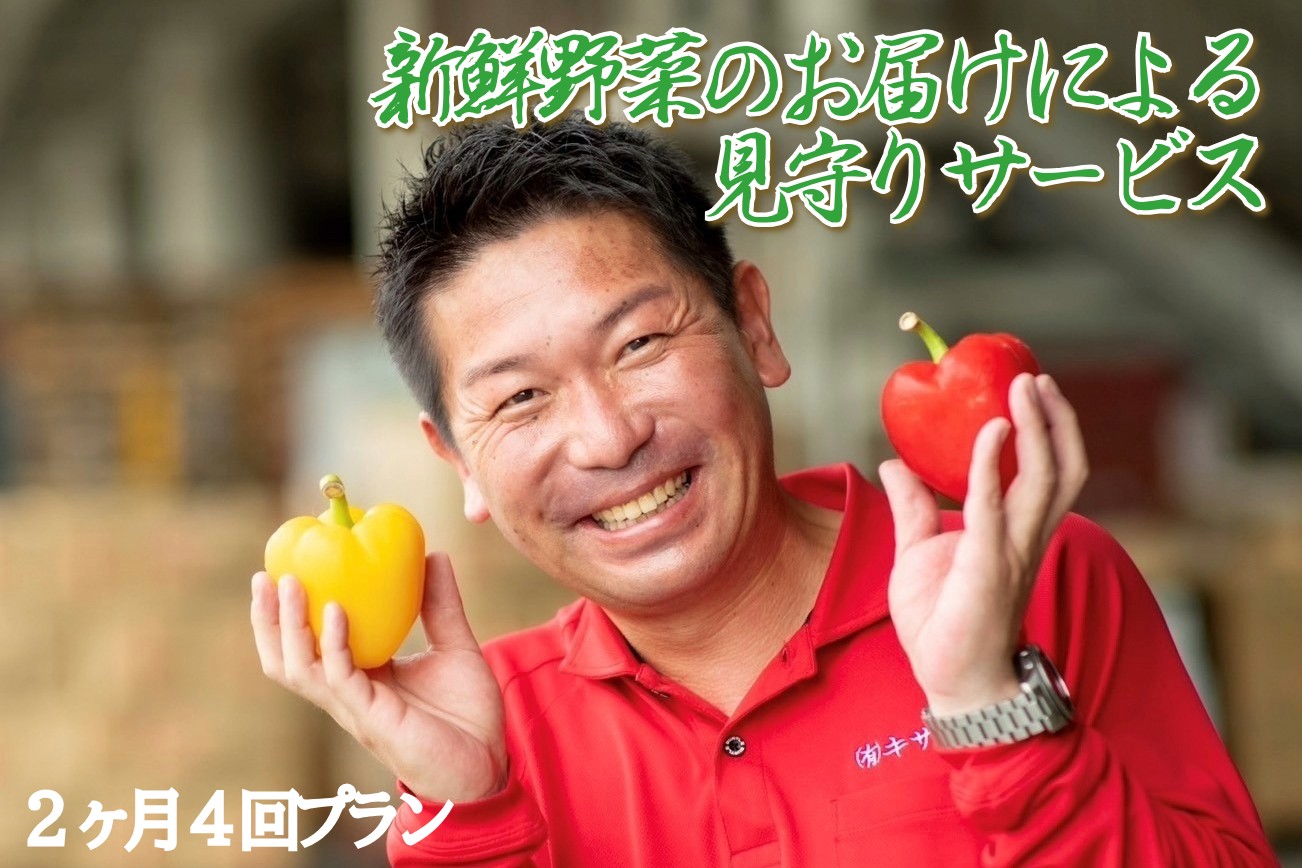 【ふるさと納税】新鮮野菜のお届けによる見守りサービス（2ヶ月4回お届け） 一人暮らし 笑顔と共に 家族愛 見守り 新鮮野菜 宅配【 兵庫県 高砂市 】