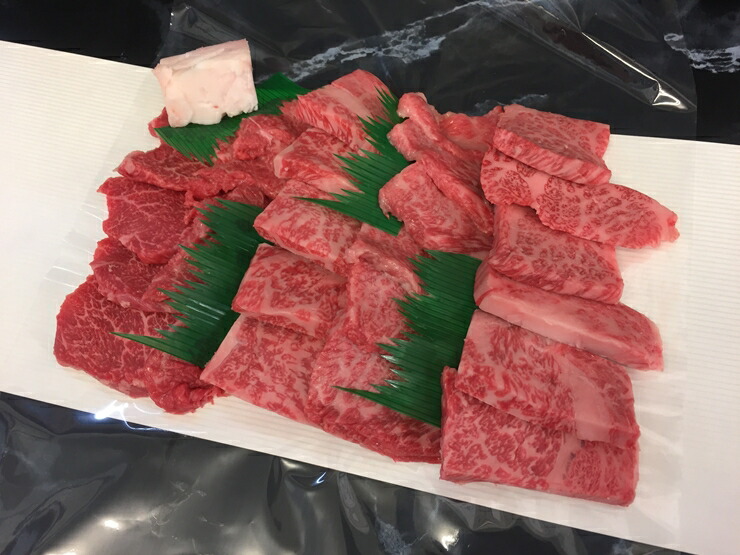 【ふるさと納税】兵庫県地域資源認定品 名産神戸肉旭屋 たかさご本店の 神戸牛焼肉セット「彩り」 500g 【 牛肉 兵庫県 高砂市 】|兵庫県高砂市