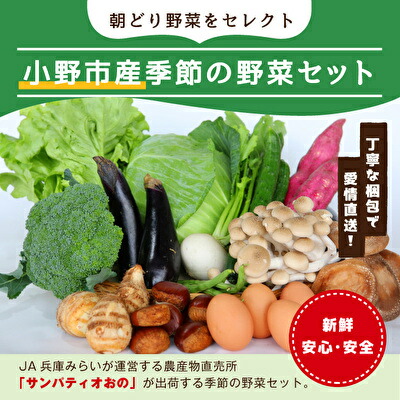 【ふるさと納税】小野市産季節の野菜セット！ 野菜類 詰合せ