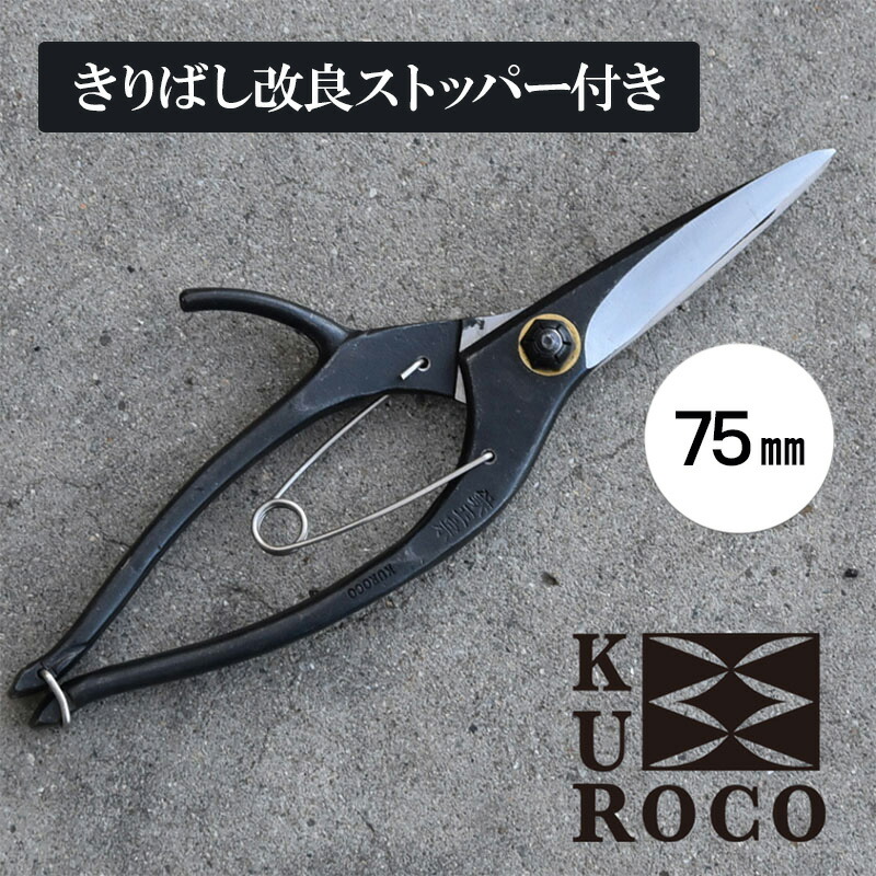 まっ盛りソロの調度品で位相空間を上げる 土地市で磨かれた、安全性のあるな科学技術とひな型