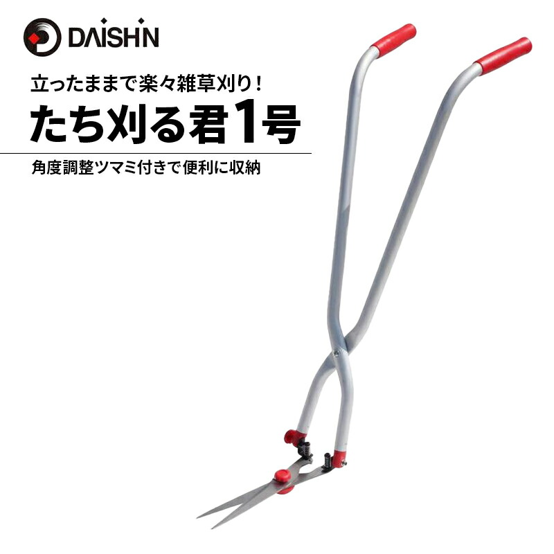 まっ盛りソロの調度品であき場所を進める 土地市で磨かれた、信頼のおけるな科学技術とひな形