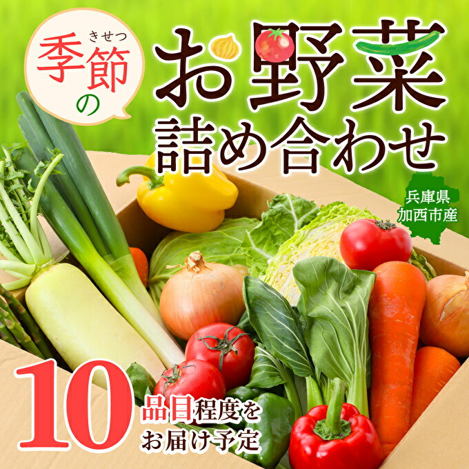 楽天市場 ふるさと納税 野菜セット 加西市産 季節の野菜詰め合わせセット 季節の野菜10品程度 野菜類 セット 詰合せ やさい 兵庫県加西市