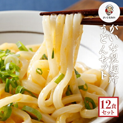 【ふるさと納税】がいな製麺所のうどんセット 麺類