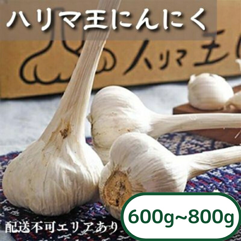 【ふるさと納税】にんにく ハリマ王 600～800g 2025年度産 兵庫県産 野菜 ニンニク 個性派 独自栽培 国産 スタミナ おつまみ  　お届け：2025年6月初旬～10月末