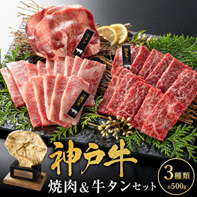 【ふるさと納税】神戸牛 焼肉セット 3種 バラ もも 牛タン セット 計500g 牛肉 小分け