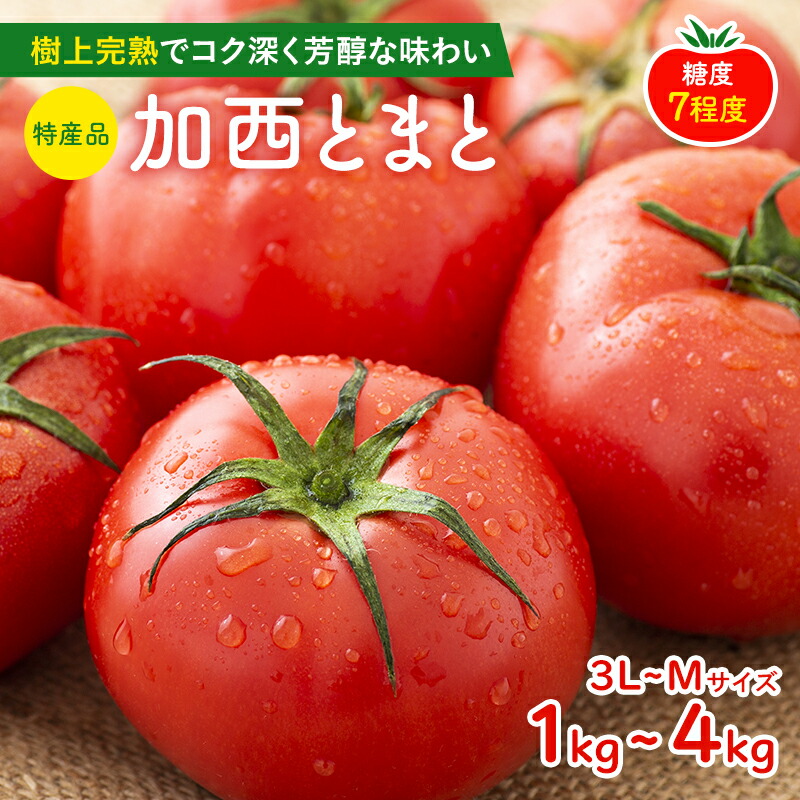 【ふるさと納税】トマト 1kg～4kg 加西トマト 2025年度産 兵庫県産 野菜 とまと 完熟 高糖度 濃厚 甘い 賞 受賞 糖度 減農薬 夏野菜 あまい お取り寄せ 冷蔵配送　お届け：2025年2月下旬～2025年7月下旬