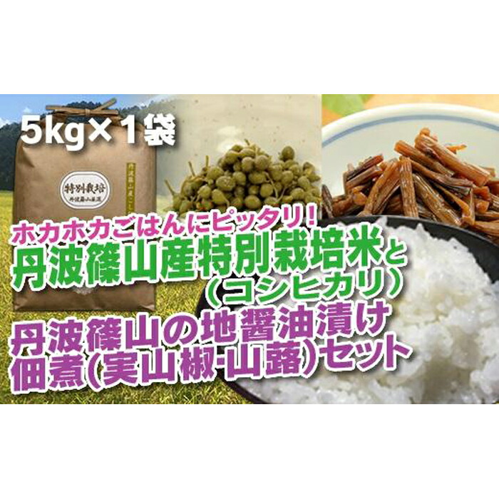 丹波篠山の地醤油漬 佃煮セット 特別栽培米5kgと実山椒 山蕗 米 お米 こめ コシヒカリ 醤油 しょうゆ 山椒 ふき つくだ煮 ご飯 ごはん おかず  お弁当 料理 調理 お取り寄せ ご当地 グルメ 人気 おすすめ 兵庫県 丹波篠山市 開催中