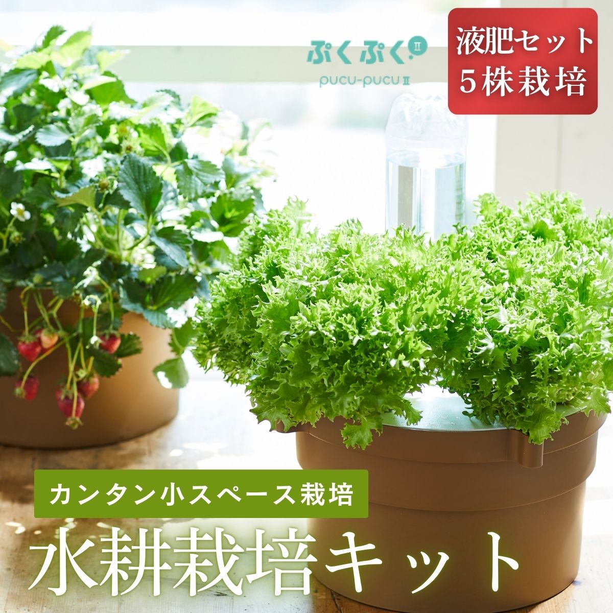 丹波篠山から直送！秋の好情 お米特集