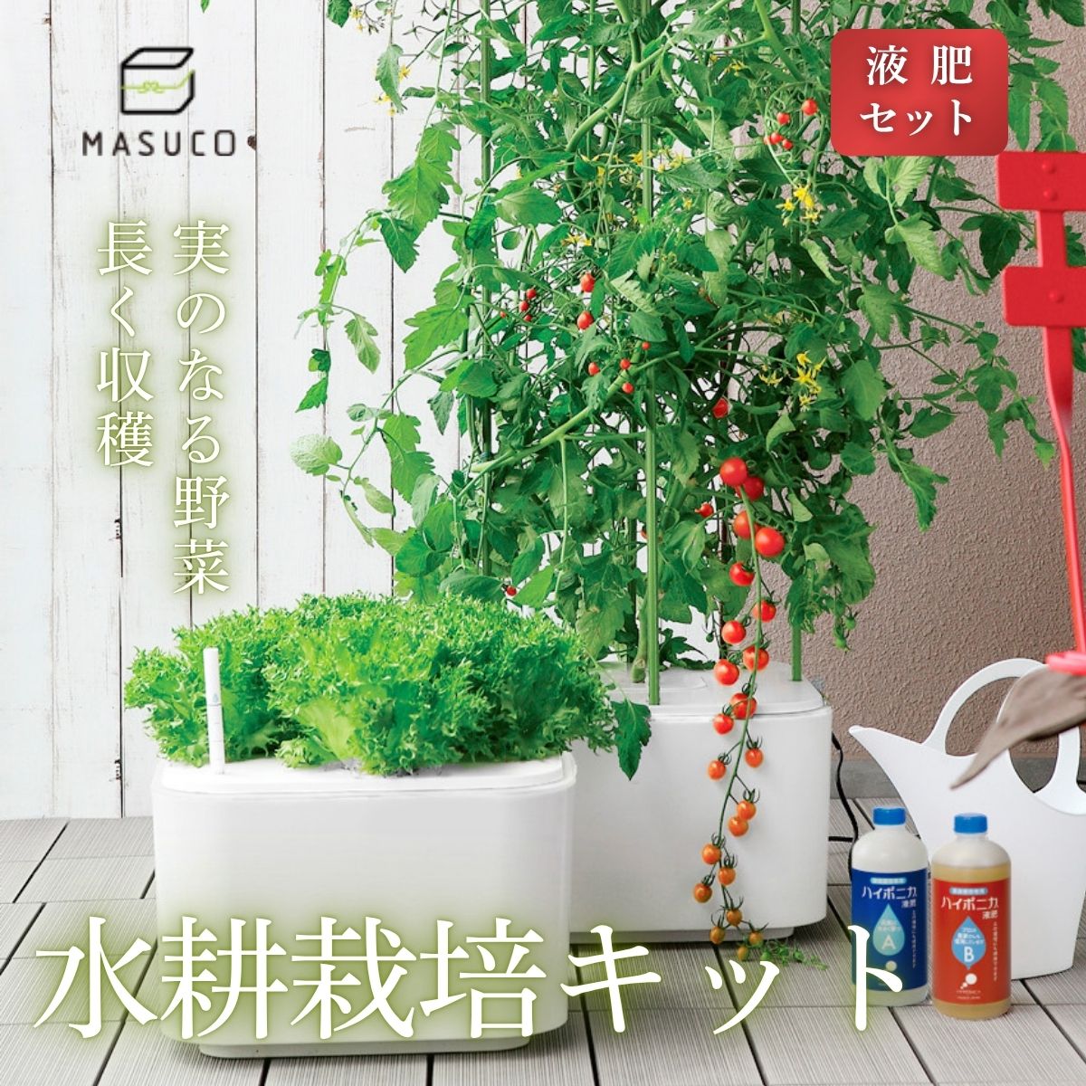 丹波篠山から直送！秋の好情 お米特集