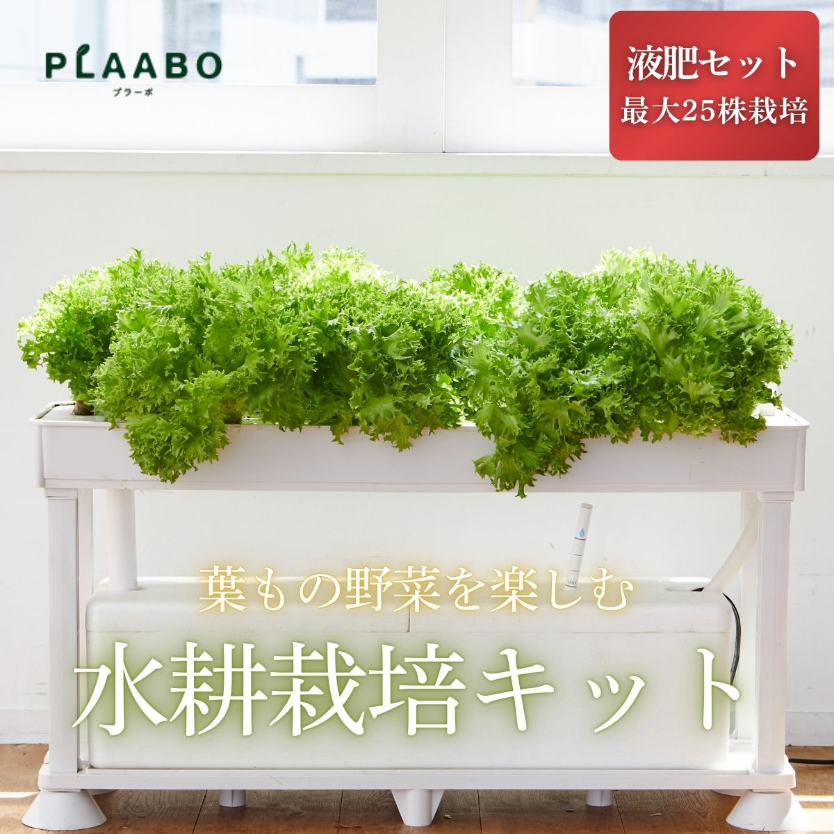 丹波篠山から直送！秋の好情 お米特集