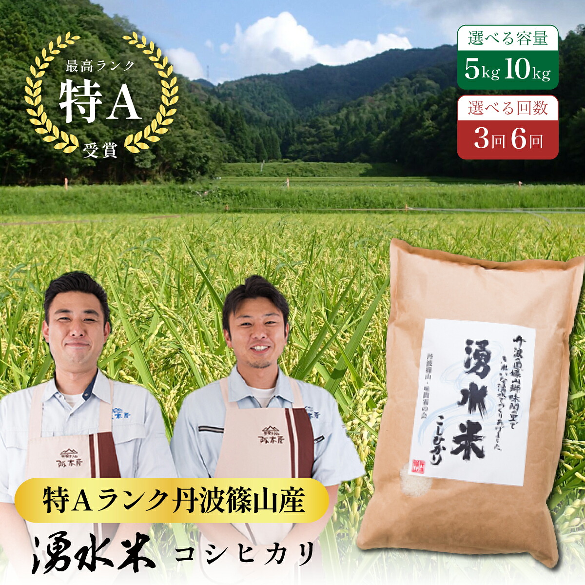 【ふるさと納税】〈定期便 特Aランク〉令和7年産 丹波篠山産 特A コシヒカリ 湧水米 【5kg 10kg 3回 6回】 | 丹波篠山 お米 おこめ ブランド米 ごはん ご飯 白米 米 コメ こめ 精米 精白米 おいしい米 美味しいお米 兵庫県 お取り寄せ こしひかり コシヒカリ|兵庫県丹波篠山市