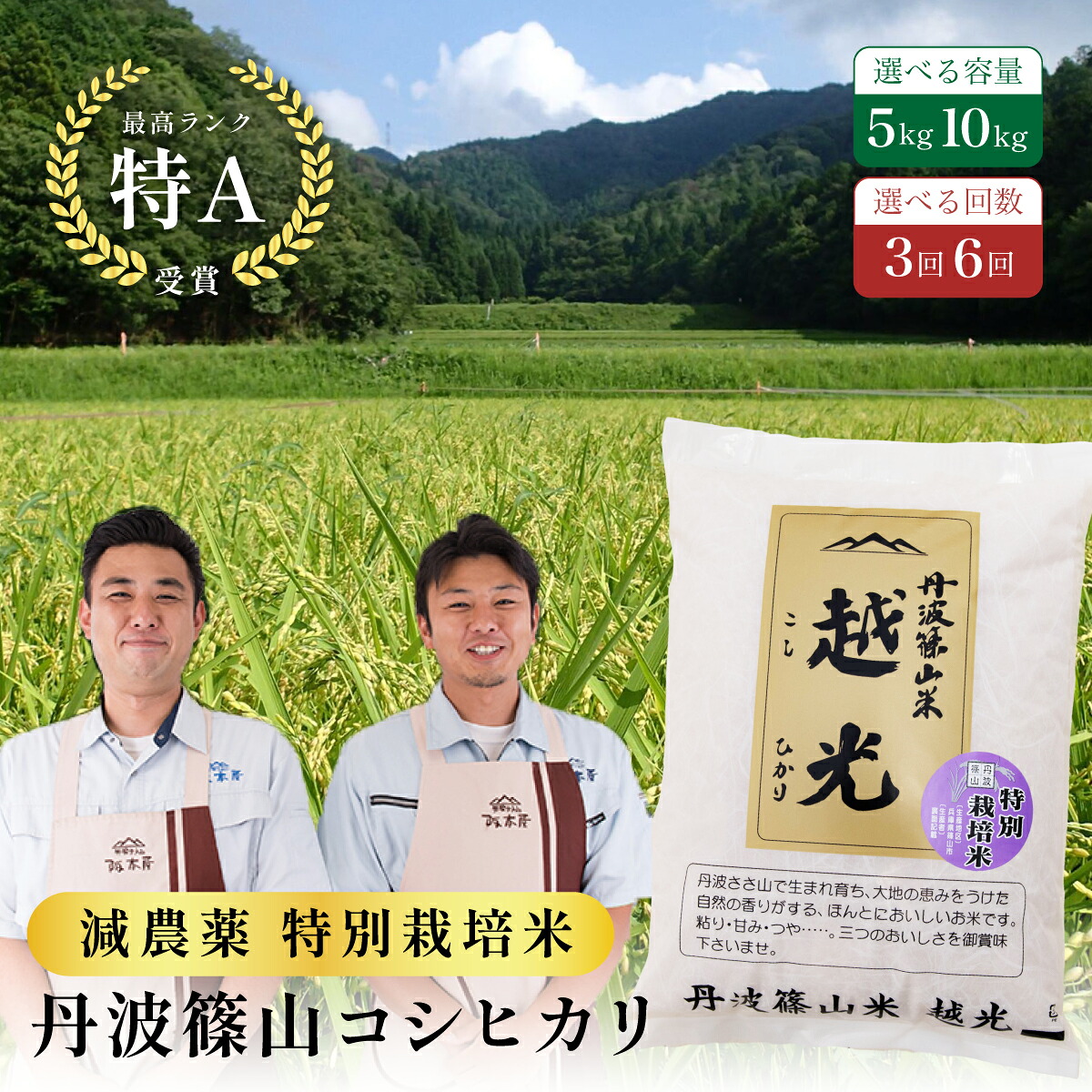 【ふるさと納税】〈定期便 特Aランク 減農薬〉令和7年産 丹波篠山産 特別栽培米 コシヒカリ 越光 【5kg 10kg 3回 6回】 | 丹波篠山 お米 おこめ ブランド米 ごはん ご飯 白米 米 コメ こめ 精米 精白米 おいしい米 美味しいお米 兵庫県 お取り寄せ こしひかり コシヒカリ｜兵庫県丹波篠山市