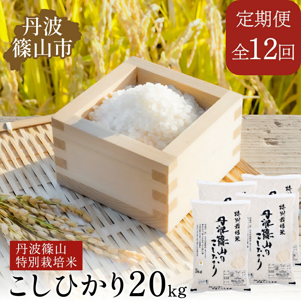 【ふるさと納税】【定期便】※令和7年 新米予約※特Aランク特別栽培米　コシヒカリ　20kg（全12回） 兵庫県 丹波篠山市 白米 100％単一原料米 産地直送米 贈答 おいしい お米 精米 ブランド おこめ 健康 ギフト 内祝い 贈り物 送料無料 おすすめ 人気 口コミ