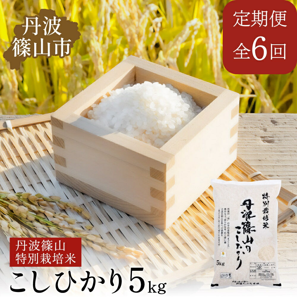 【ふるさと納税】【定期便】※令和7年　新米予約※特Aランク特別栽培米　コシヒカリ　5kg（全6回） 兵庫県 丹波篠山市 白米 100％単一原料米 産地直送米 贈答 おいしい お米 精米 ブランド おこめ 健康 ギフト 内祝い 贈り物 送料無料 おすすめ 人気 口コミ
