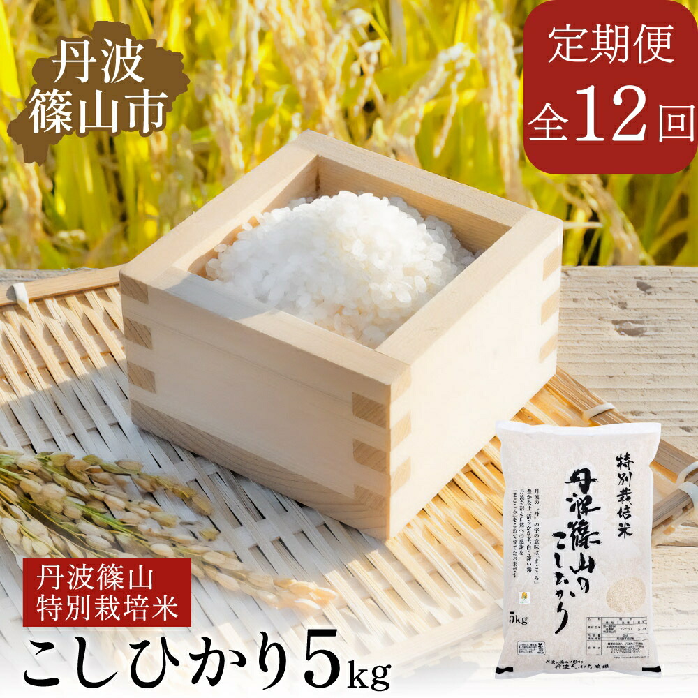 【ふるさと納税】【定期便】※令和7年 新米予約※特Aランク特別栽培米　コシヒカリ　5kg（全12回） 兵庫県 丹波篠山市 白米 100％単一原料米 産地直送米 贈答 おいしい お米 精米 ブランド おこめ 健康 ギフト 内祝い 贈り物 送料無料 おすすめ 人気 口コミ