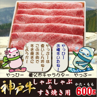 【ふるさと納税】神戸牛 しゃぶしゃぶ & すき焼き用 かた ・ もも肉 計600g YBS2_ 牛肉 肉 神戸牛 ブランド牛 国産 しゃぶしゃぶ すき焼き 肩 もも肉 霜降り 赤身 神戸ビーフ 冷凍 贈答 ギフト プレゼント 送料無料 お取り寄せ 人気 【配送不可地域：離島】【1340602】