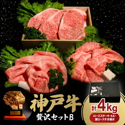 【ふるさと納税】神戸牛贅沢パーティーセットB　ステーキ・すき焼き　合計4.0Kg　牛脂付き【配送不可地域：離島】【1529492】｜兵庫県養父市