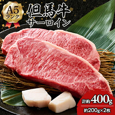 【ふるさと納税】但馬牛 A5 サーロイン 2枚_ 但馬牛 A5ランク 黒毛和牛 サーロイン ステーキ 牛肉 和牛 高級肉 ブランド牛 国産牛 肉 ギフト 贈答用 プレゼント 焼肉 美味しい 送料無料 【配送不可地域：離島】【1584775】
