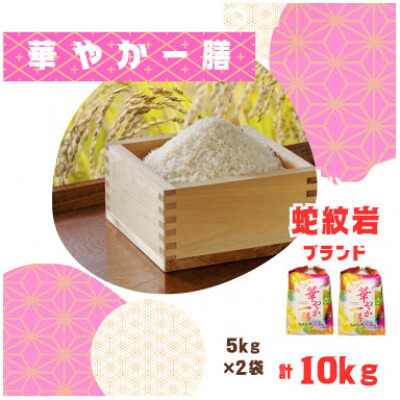 【ふるさと納税】【毎月定期便】蛇紋岩ブランド 華やか一膳 10kg(5kg&times;2)全3回【4071008】｜兵庫県養父市