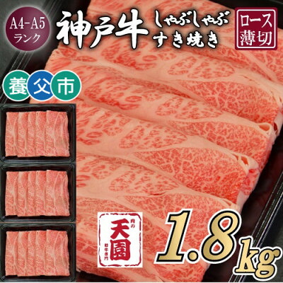 【ふるさと納税】【毎月定期便】【ふるさと納税】神戸牛 霜降り 肩ロース しゃぶしゃぶすき焼き600g×全3回【配送不可地域：離島】【4083896】