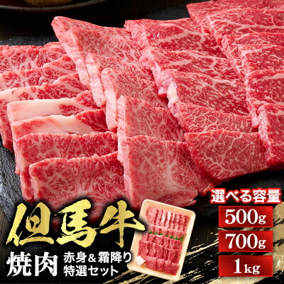 【ふるさと納税】【但馬牛】焼肉 赤身&霜降り 特選セット(500g/700g/1kg)【配送不可地域：離島】【G1313161】｜兵庫県養父市