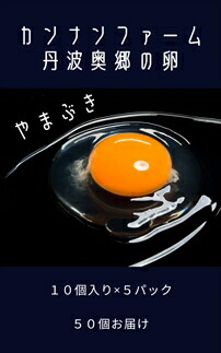 【ふるさと納税】丹波奥郷の卵　やまぶき　４５個+５個破卵補償　(約3kg）