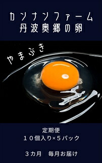 【ふるさと納税】【３ヶ月定期便】丹波奥郷の卵　やまぶき　４５個+５個破卵補償　(約3kg）