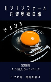 【ふるさと納税】【１２ヶ月定期便】丹波奥郷の卵　やまぶき　４５個+５個破卵補償　(約3kg）