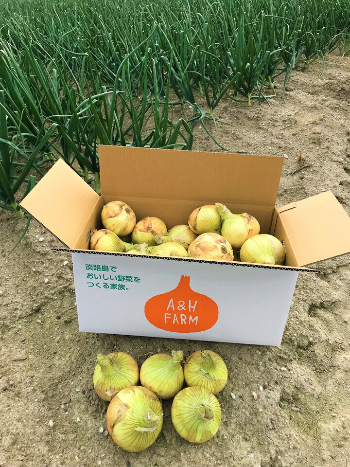 【ふるさと納税】 【期間限定】 島玉ねぎ（新玉ねぎ）10kg ◆発送3月～