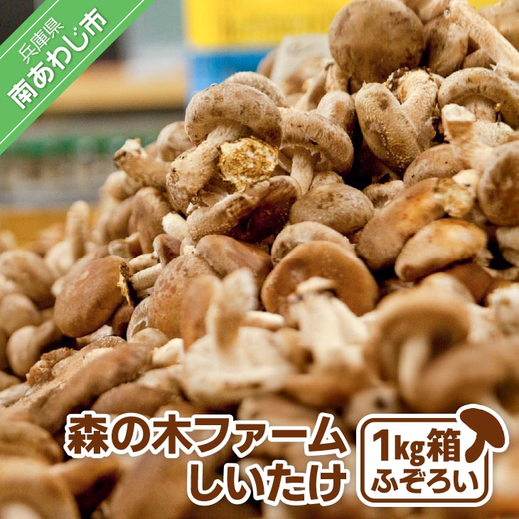 【ふるさと納税】【農薬・化学肥は不使用】森の木ファームしいたけ（1キロ箱）ふぞろい｜兵庫県南あわじ市