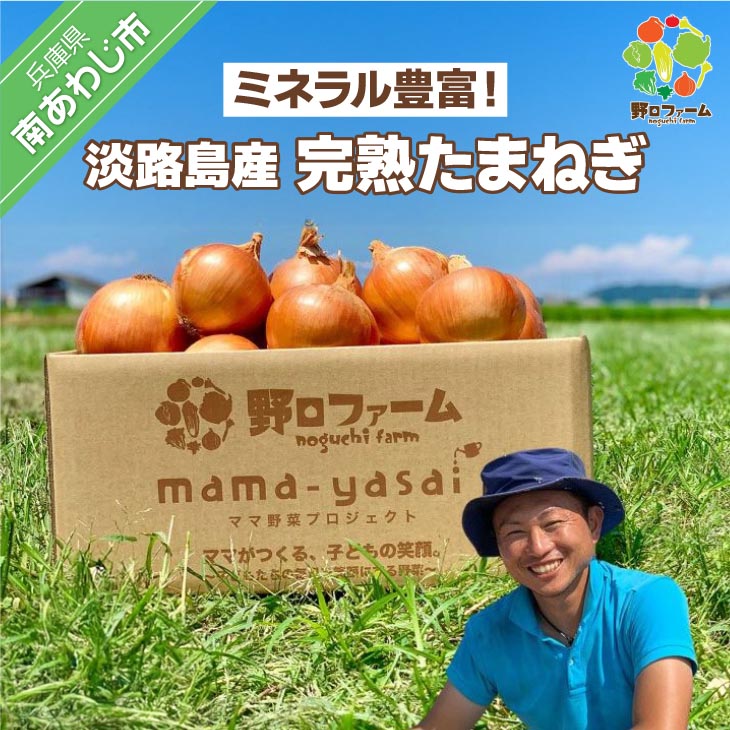 【ふるさと納税】淡路島野口ファームの完熟たまねぎ〈5kg〉〈10kg〉|兵庫県南あわじ市