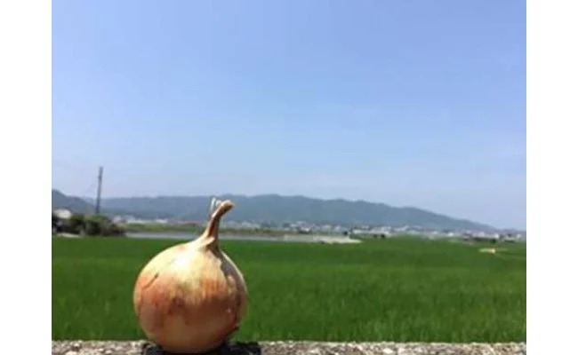 【ふるさと納税】淡路島の農家の嫁から「完熟玉ねぎ 中生晩生 ５ｋｇ」◆配送5月中旬～