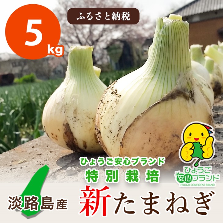 【ふるさと納税】<br>【あさひサンファーム】<br>【5kg】兵庫県認証★特別栽培★淡路島新たまねぎ<br>（配送3月上旬～）