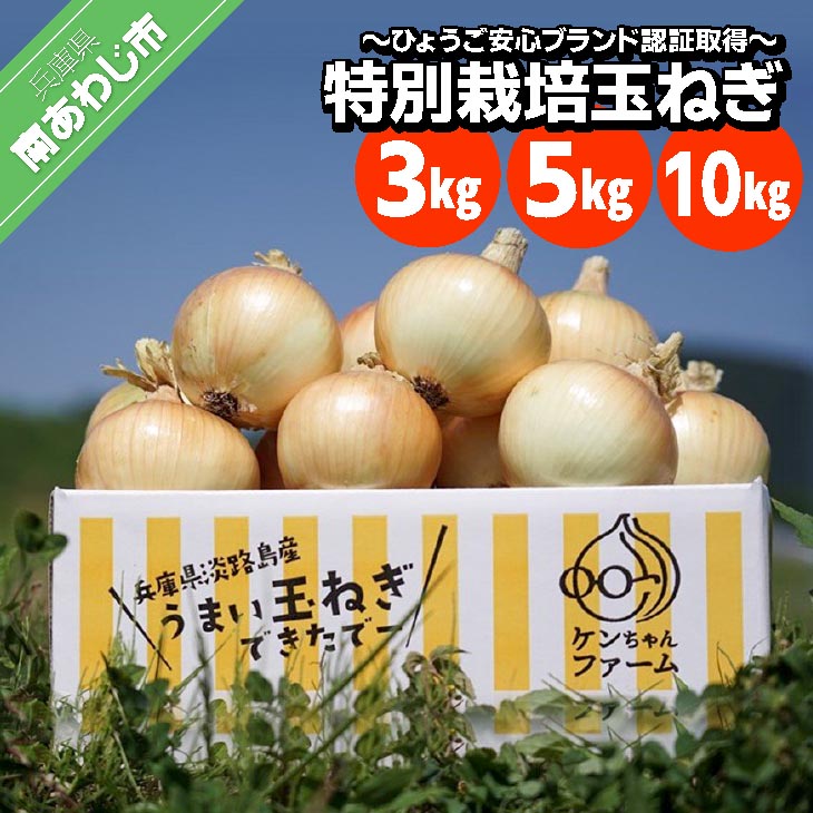 ふるさと納税 南あわじ市 素材にこだわりすぎた淡路島極味玉ねぎハンバーグ　150g×4個 R7.12月発送淡路島玉ねぎハンバーグ200g×12個(冷凍) | 兵庫県