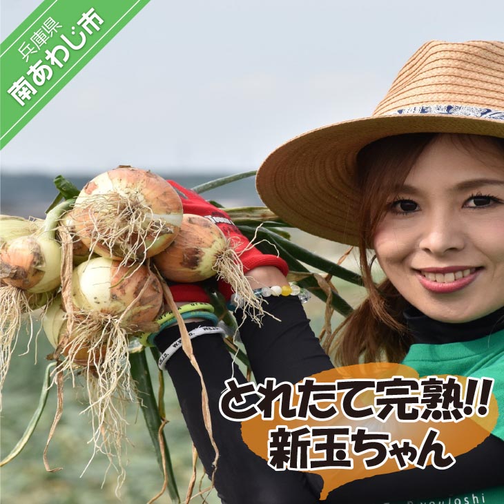 【ふるさと納税】 【量が選べる！新玉予約！】 淡路島玉ねぎ とれたて完熟!! 新玉ちゃん☆ひょうご安心ブランド取得☆ 　◆配送5月上旬～6月上旬