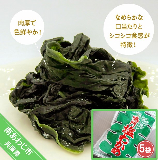 【ふるさと納税】塩わかめ 220g×5袋入り