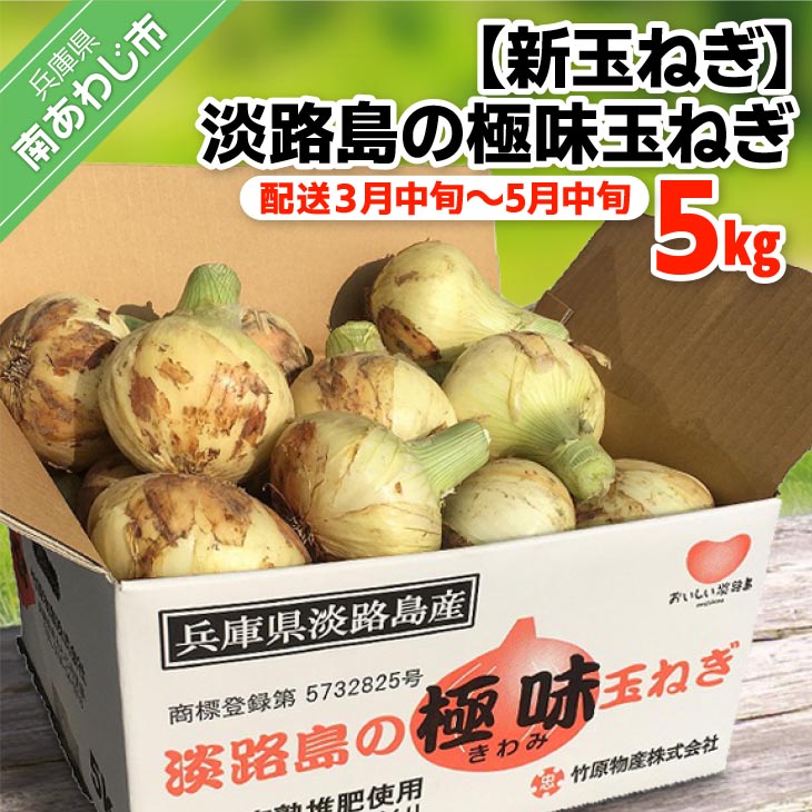 【ふるさと納税】【新玉ねぎ】極上の味　淡路島の極味玉ねぎ　5kg　◆配送３月中旬～5月中旬