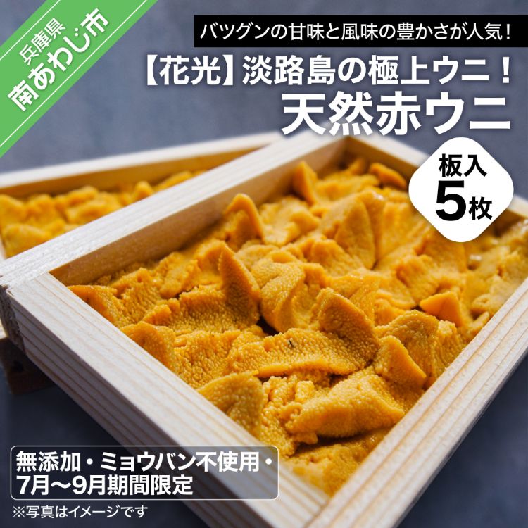 【ふるさと納税】【無添加・ミョウバン不使用・7月末～9月初旬発送予定】淡路島の極上ウニ！天然赤ウニ（板入5枚）｜兵庫県南あわじ市
