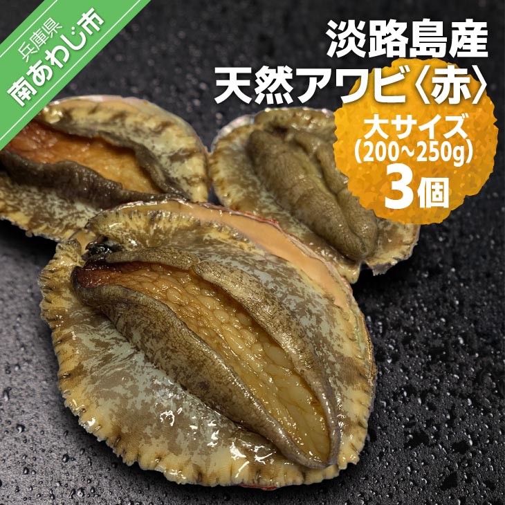 【楽天市場】【ふるさと納税】 ふるさと納税 bbq 【花光】淡路島産天然アワビ(赤)大サイズ3個:兵庫県南あわじ市