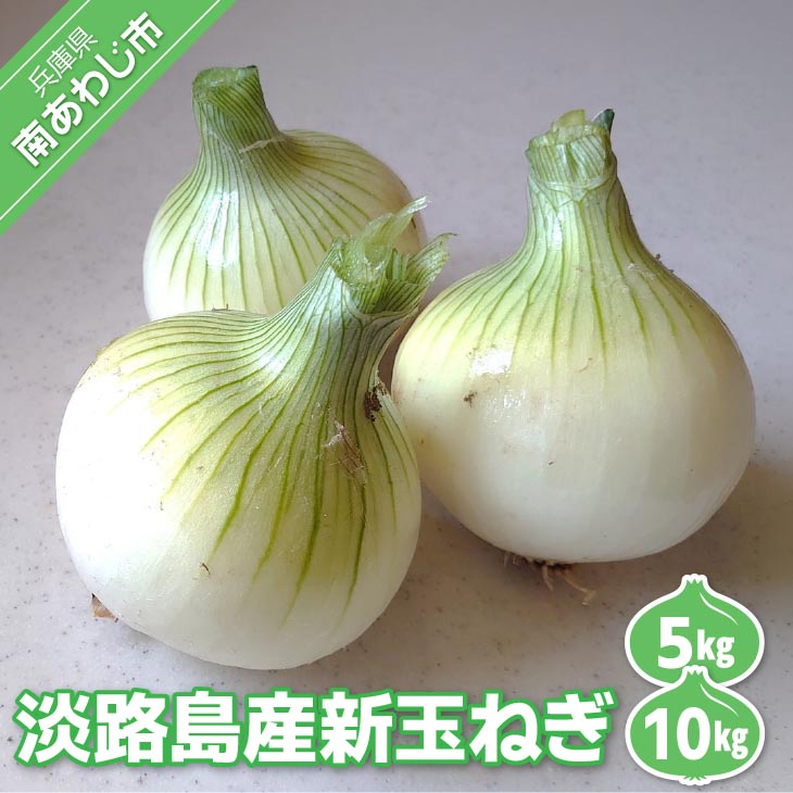 【ふるさと納税】 【量が選べる！新玉予約！】 淡路島産 新玉ねぎ　◆配送４月末頃～