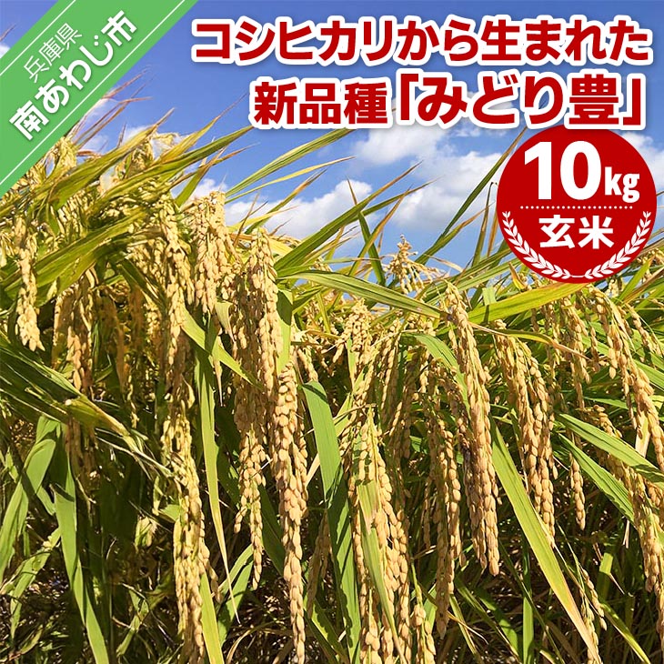 【ふるさと納税】令和７年産・玄米『みどり豊』10kg10月中旬頃から発送｜兵庫県南あわじ市
