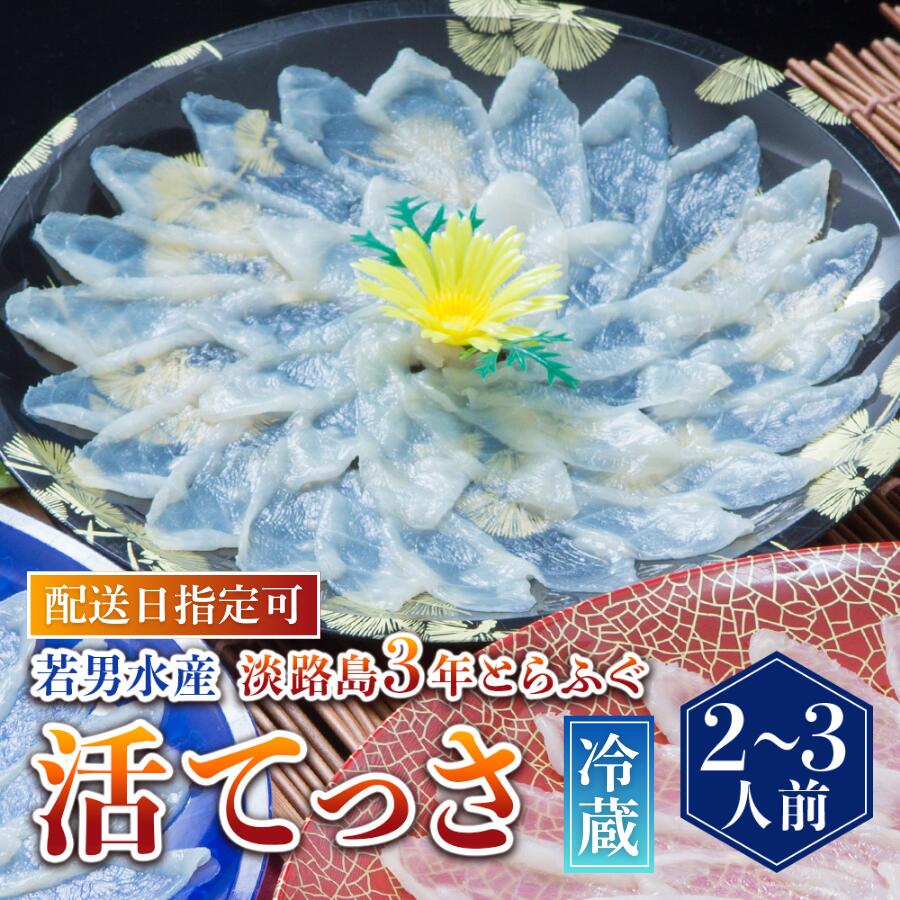 【ふるさと納税】 【 発送時期が選べる 冷蔵 】 淡路島3年とらふぐ活てっさ（2～3人前） ふぐ てっさ とらふぐ ふぐ刺し ふぐ刺身 ふぐしゃぶ 活魚 鮮魚 海産物 海鮮 魚 淡路島 淡路 産地直送 お取り寄せ グルメ ギフト