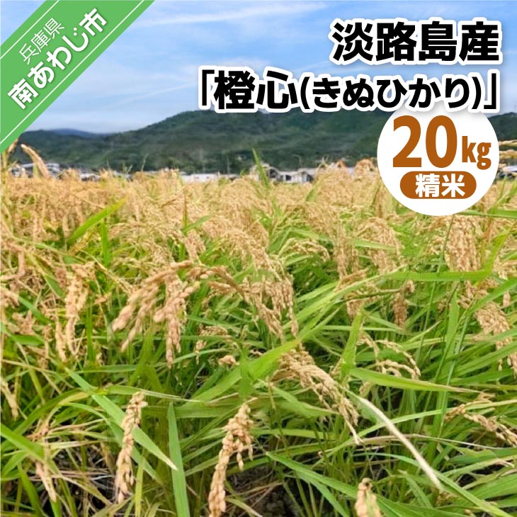 【ふるさと納税】令和７年度産 新米 淡路島産「橙心(きぬひかり)」　精米20kg　◆配送9月末～｜兵庫県南あわじ市