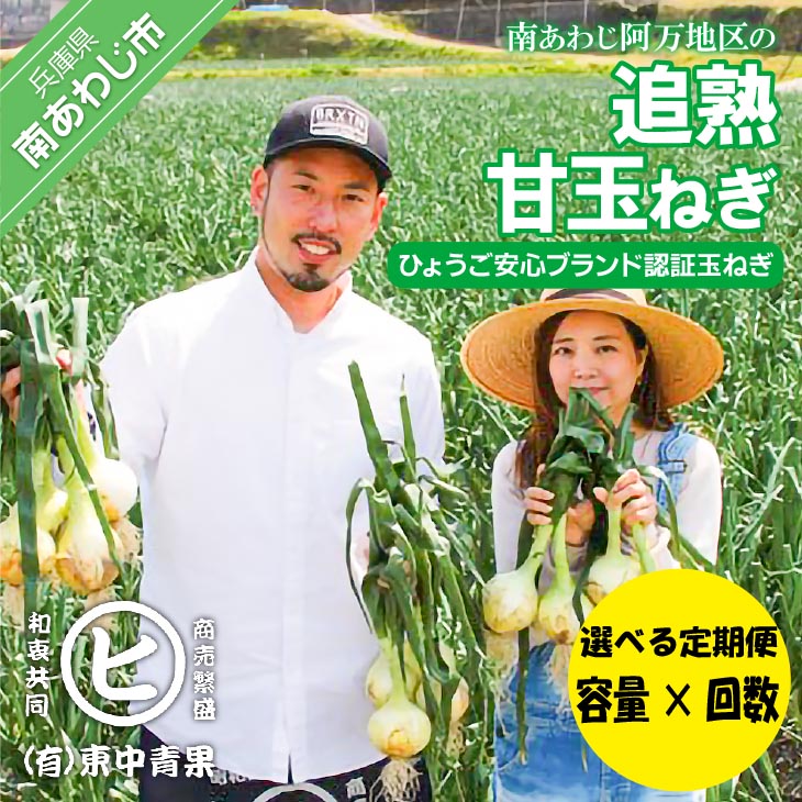 【ふるさと納税】 【選べる定期便】「追熟甘玉ねぎ」 容量【3kg・5kg・10kg】 回数【3回・6回・12回】