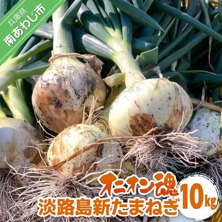 【ふるさと納税】【オニオン魂】 淡路島新たまねぎ　10kg　◆配送３月上旬～