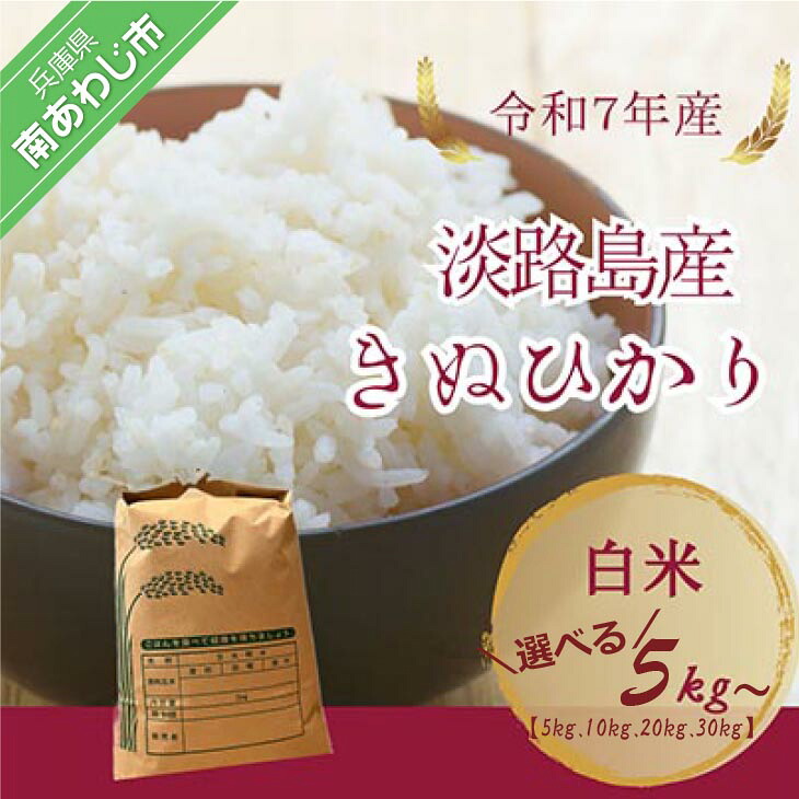 【ふるさと納税】令和7年産新米　淡路島産キヌヒカリ　白米【5kg・10kg・20kg・30kg】｜兵庫県南あわじ市