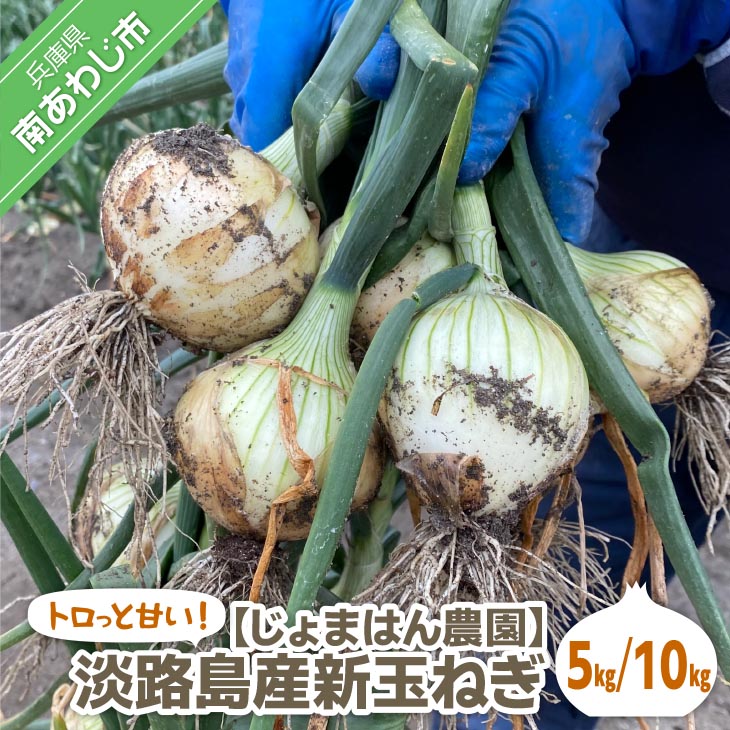 【ふるさと納税】【新玉予約】トロっと甘い!!淡路島産新玉ねぎ 5kg◆R9.3月上旬~5月中旬発送|兵庫県南あわじ市