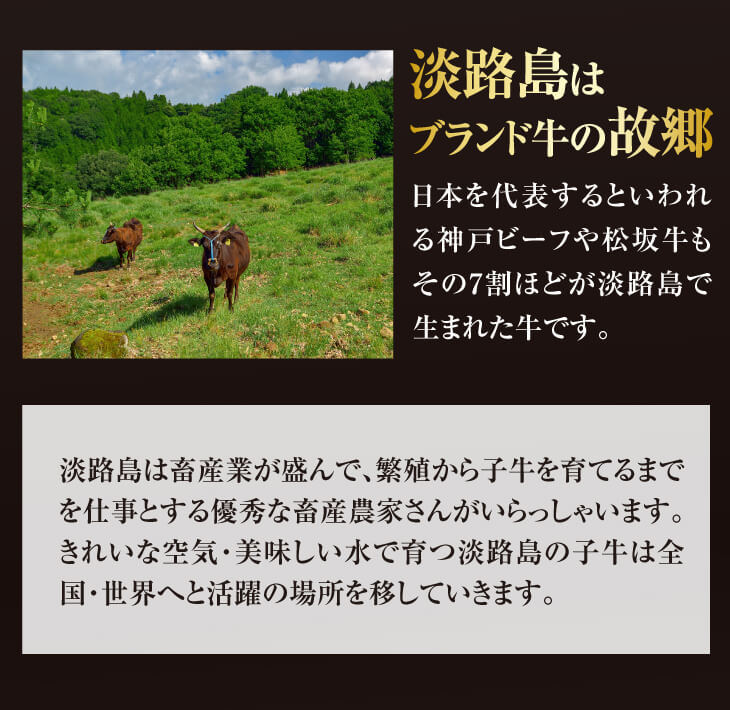 【ふるさと納税】淡路ビーフ(神戸ビーフ)A4 特選カルビ焼肉 1kg 【ふるさと納税】淡路ビーフ(神戸ビーフ)A4 特選カルビ焼肉 1kg
