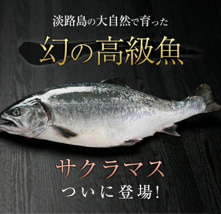 淡路島で育ったサーモン800g 熱い販売